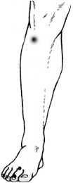 post-117-1260614736_thumb.png