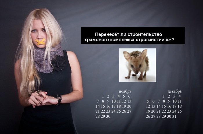post-15130-0-38985500-1292258116_thumb.jpg
