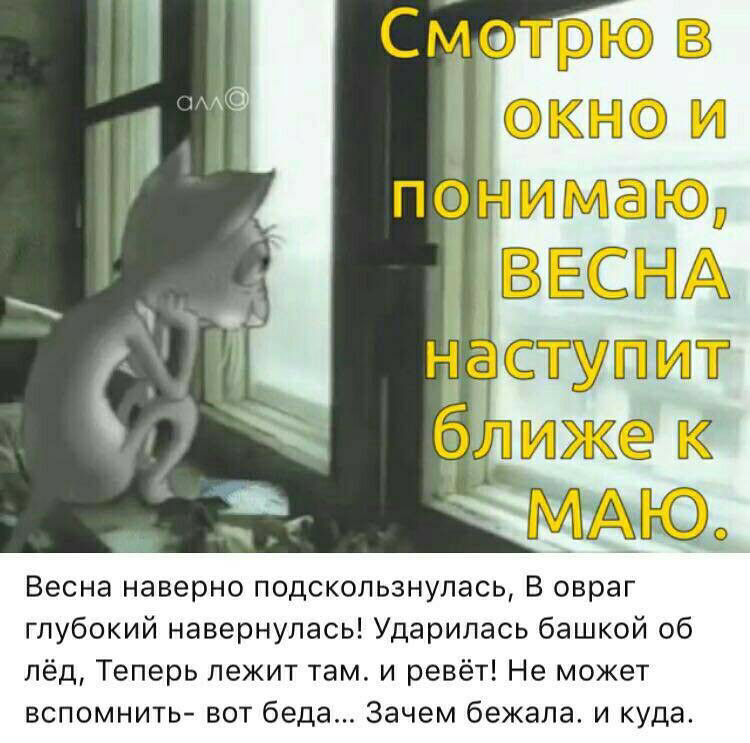 Scrapbook_1553496202397.png.82ebcdcdb2b877736b0709189873f418.png