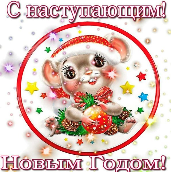 IMG-20191230-WA0001.jpg