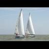 Морская рыбка